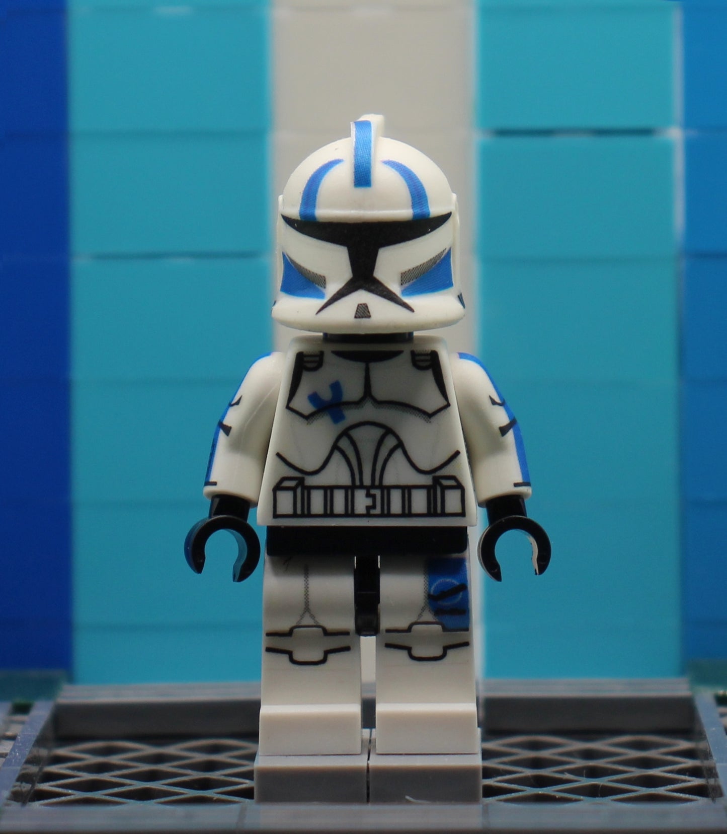 Animated P1 Echo