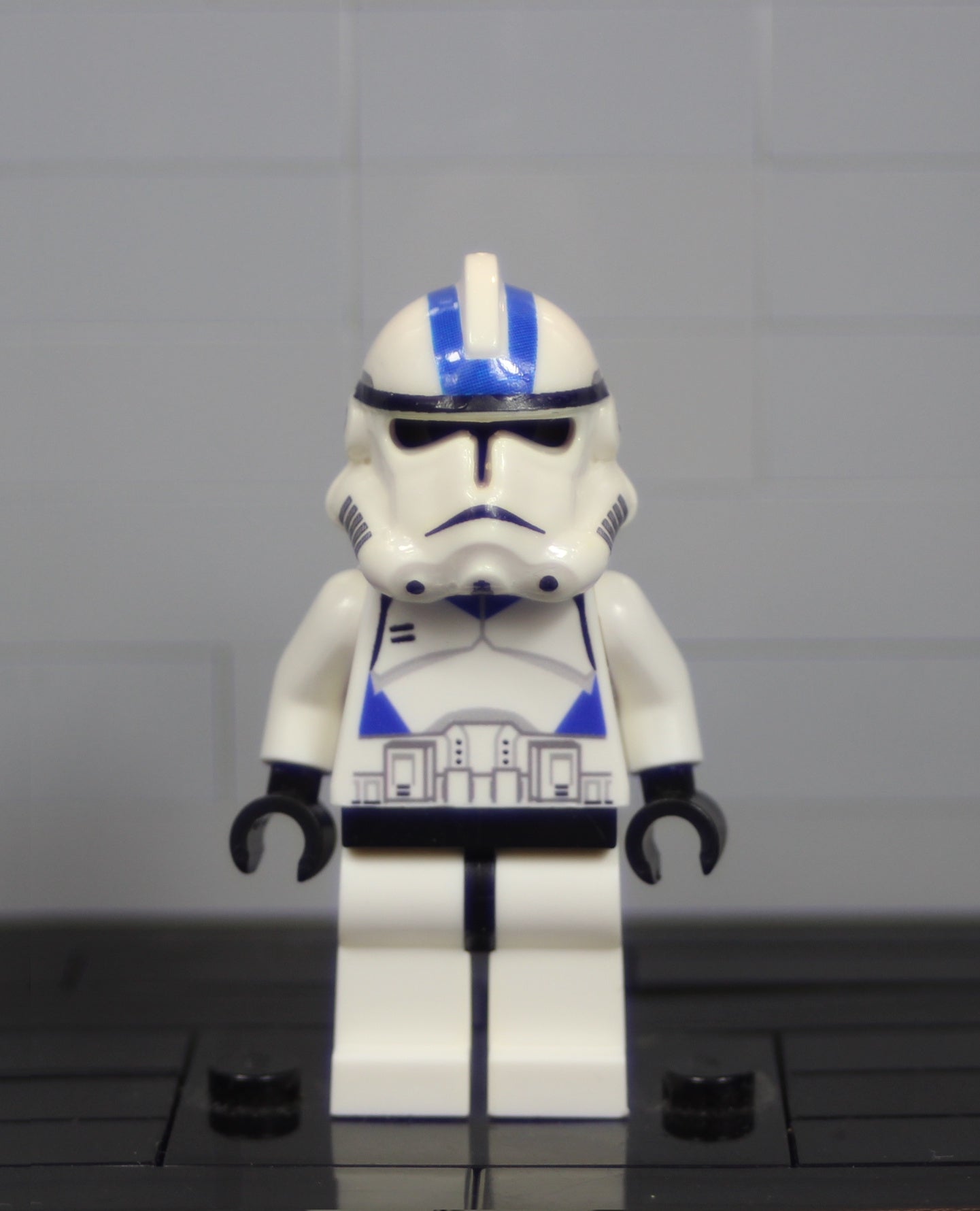 P2 TCS 501st