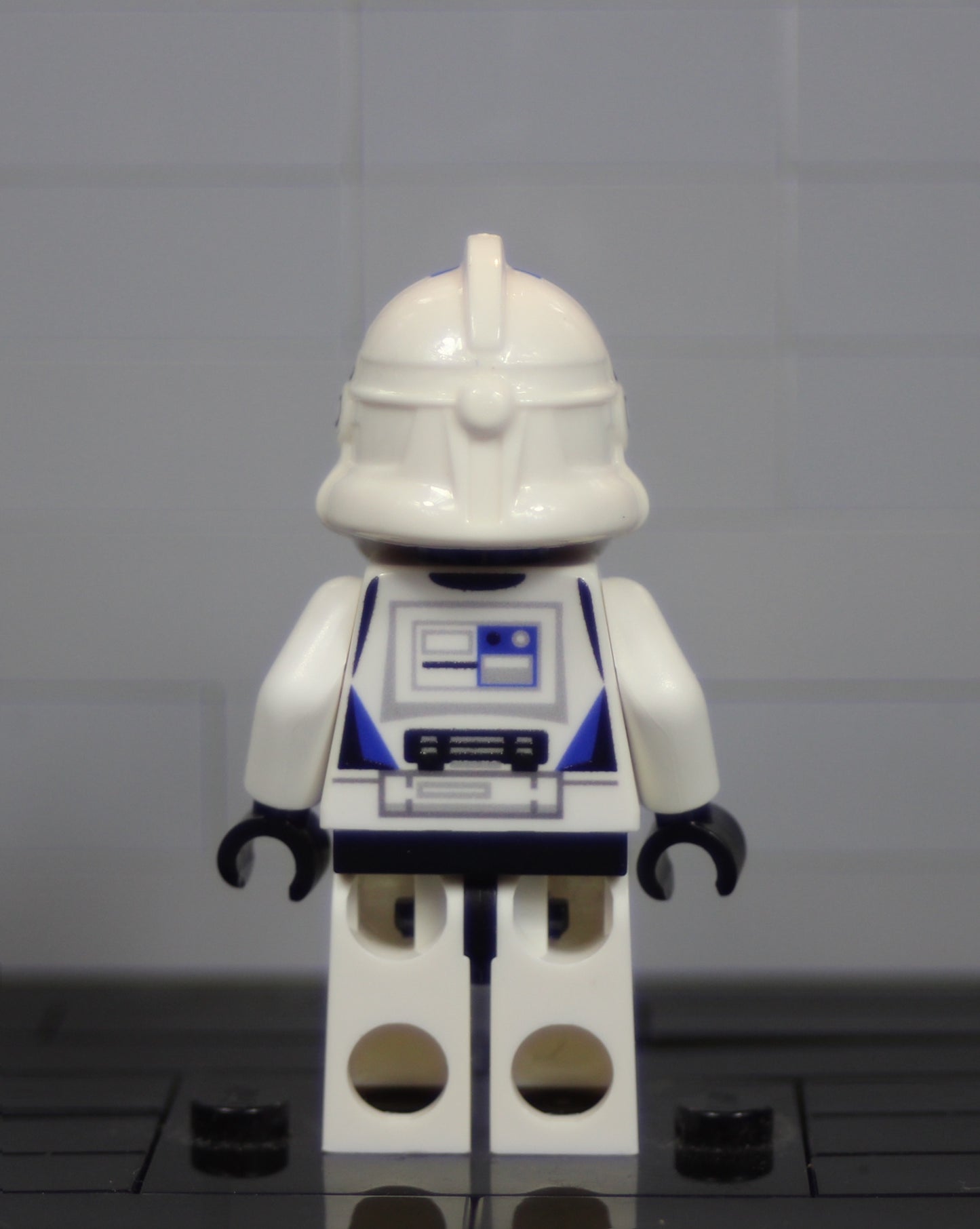 P2 TCS 501st