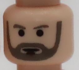 Classic Old Master Head